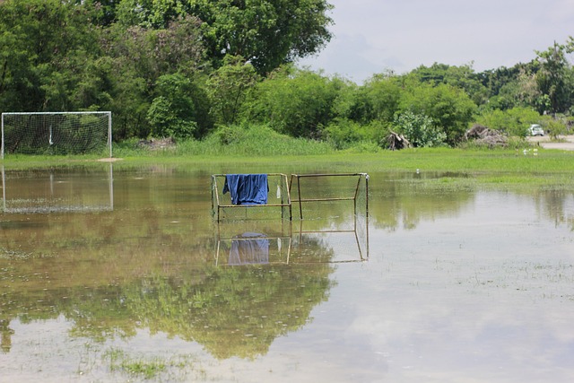 统的小将 统的小将