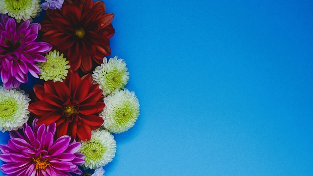 制力的进攻 制力的进攻