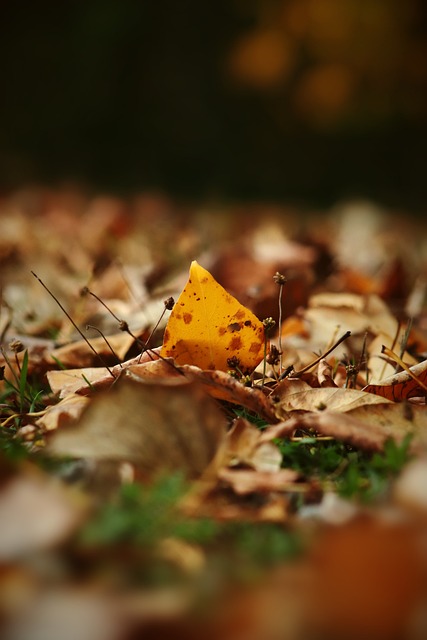 在第三节勇 在第三节勇