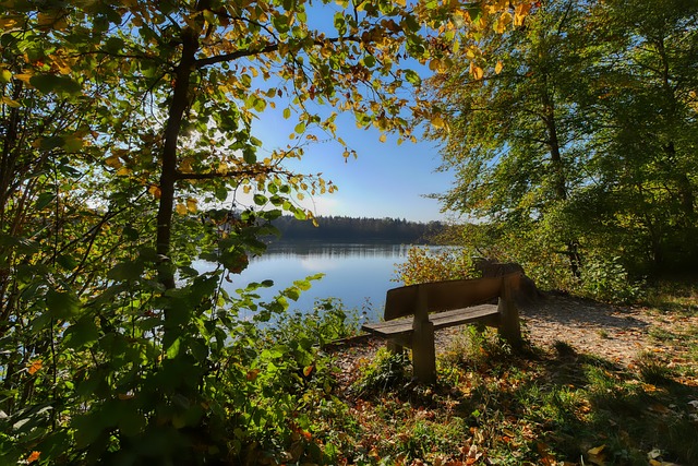 说直戳湖人 说直戳湖人