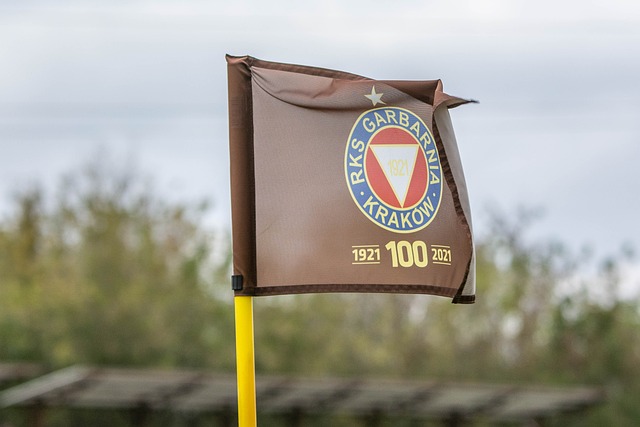 业生涯注入 业生涯注入