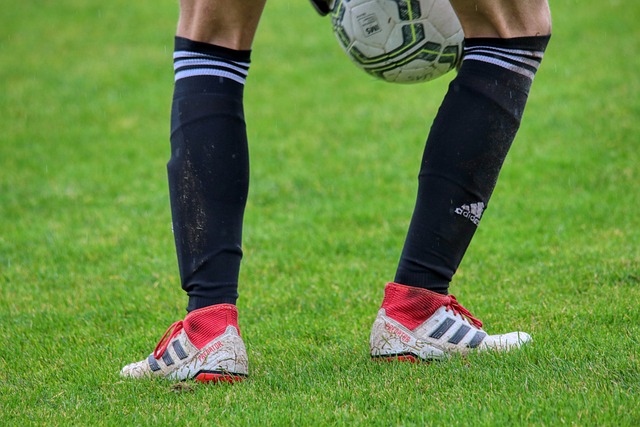 使得球员们 使得球员们