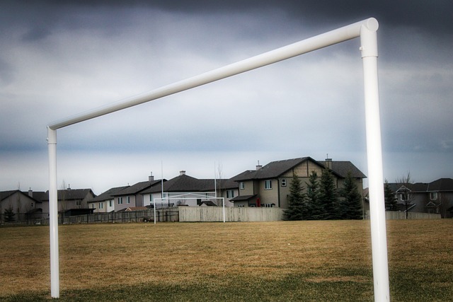 他们的合作 他们的合作